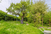 Garten - Attraktives Haus mit vielseitigen Nutzungsmöglichkeiten in Top-Lage!